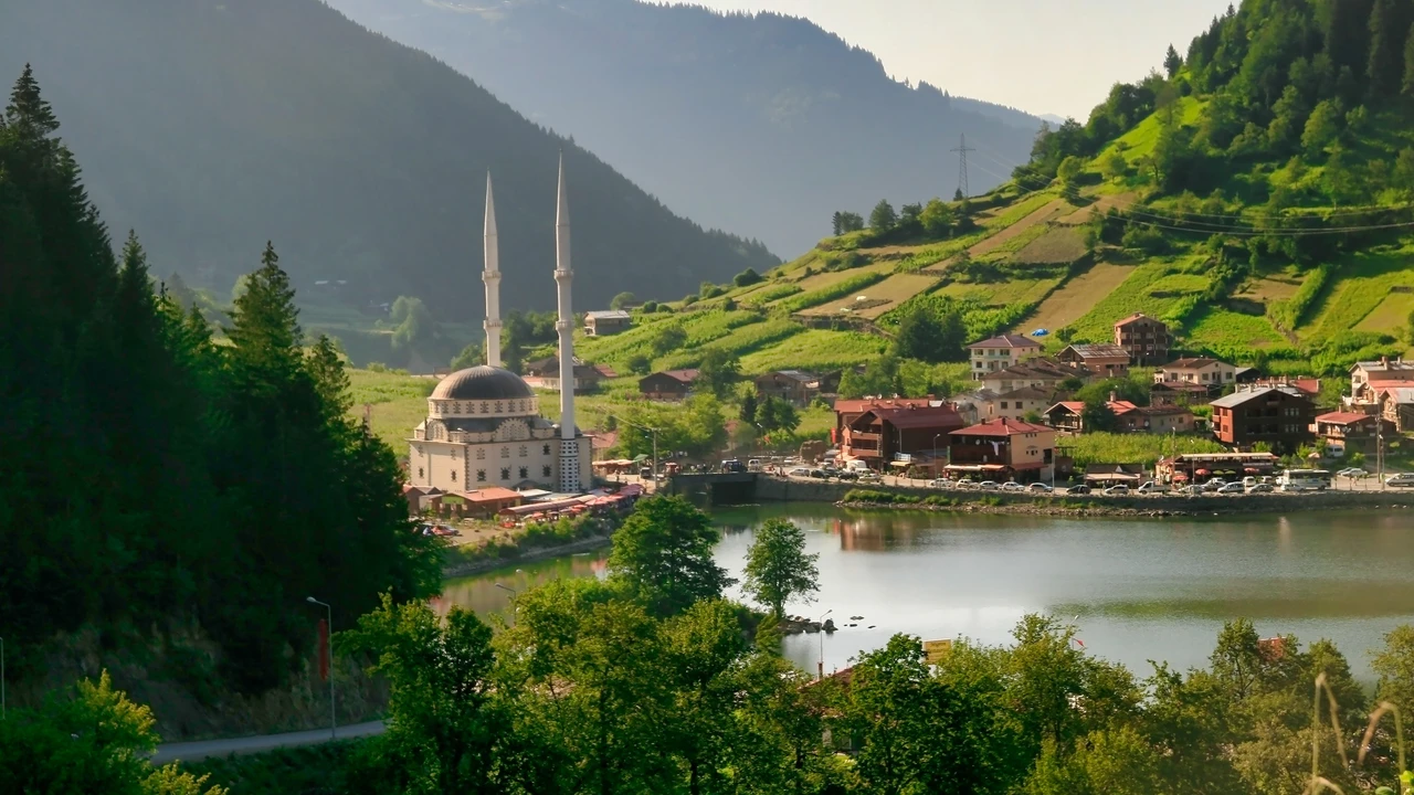 Kuveytliler için Trabzon'da Satılık Villalar