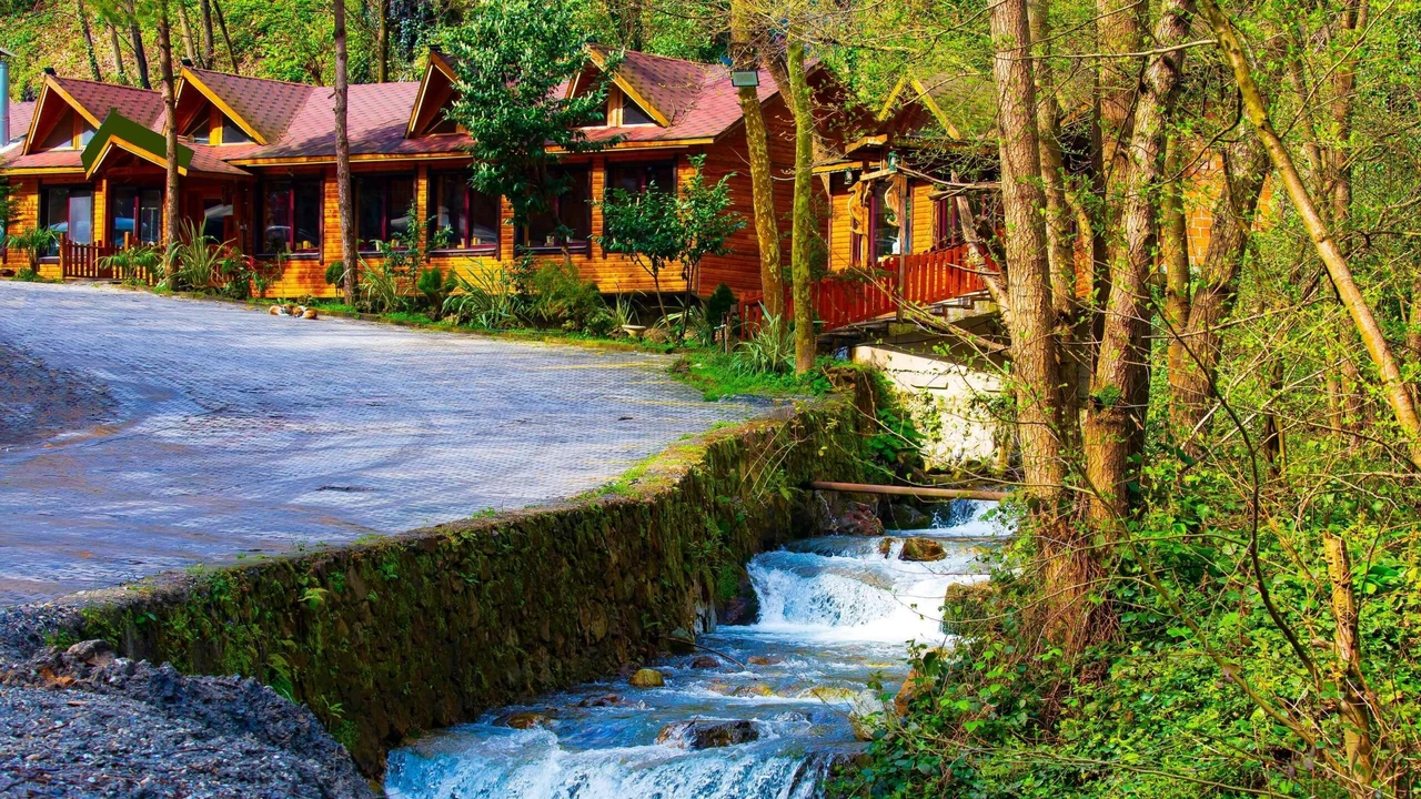 Sapanca and Maşukiye: Two Natural Destinations That Amaze Visitors in Every Season
